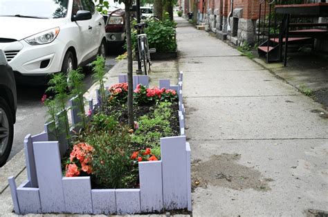 Montreal program letting residents plant sidewalk gardens provides numerous benefits